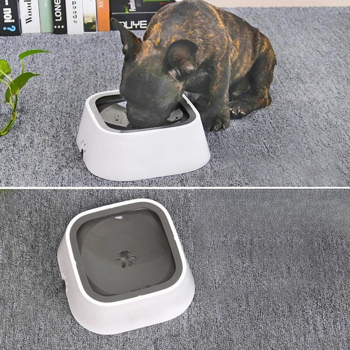 Dispensador De Agua Para Perros - Anti Derrames