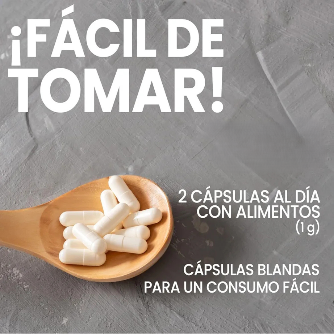 Melena de León - Suplemento Natural (100 cápsulas)