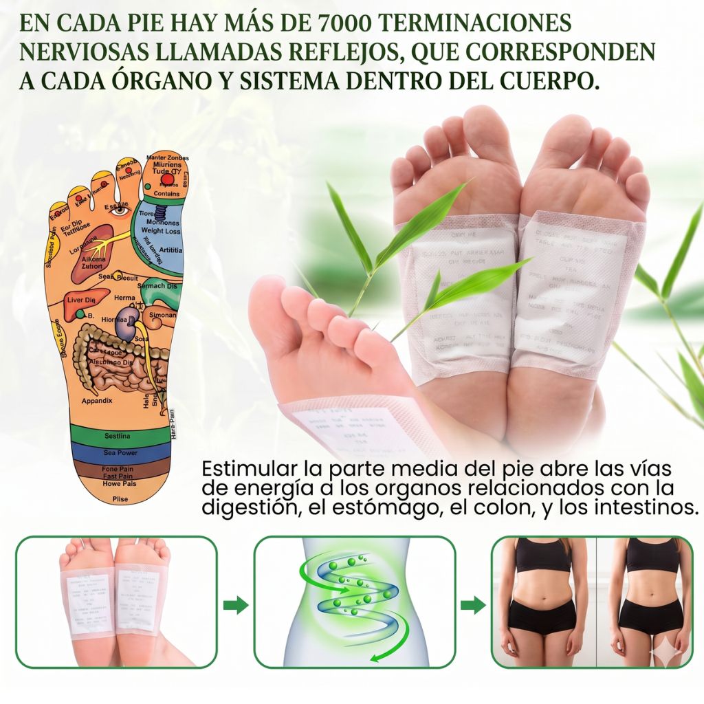 Parches KINOKI Desintoxicantes y Circulatorios