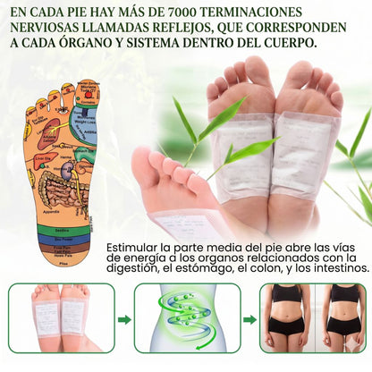 Parches KINOKI Desintoxicantes y Circulatorios