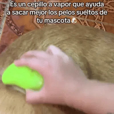 Cepillo con Vapor para Mascotas